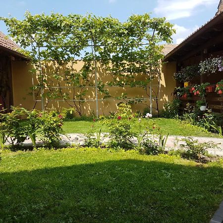 Casa Ovesia Villa Săcele Eksteriør bilde