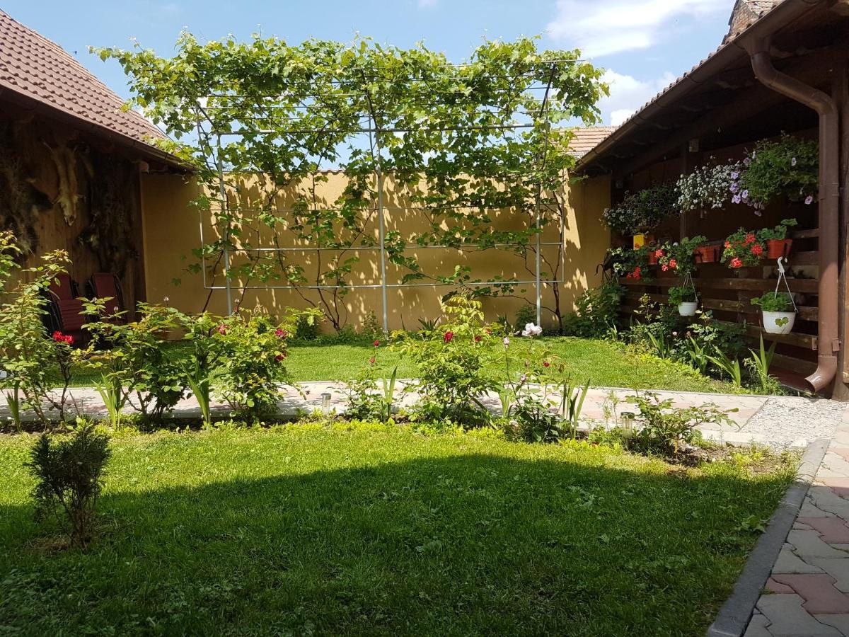 Casa Ovesia Villa Săcele Eksteriør bilde