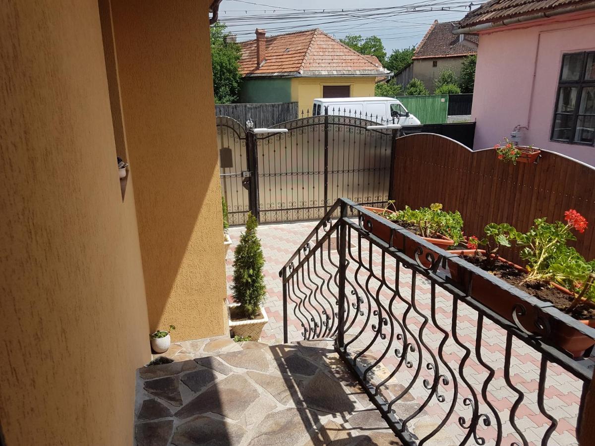 Casa Ovesia Villa Săcele Eksteriør bilde